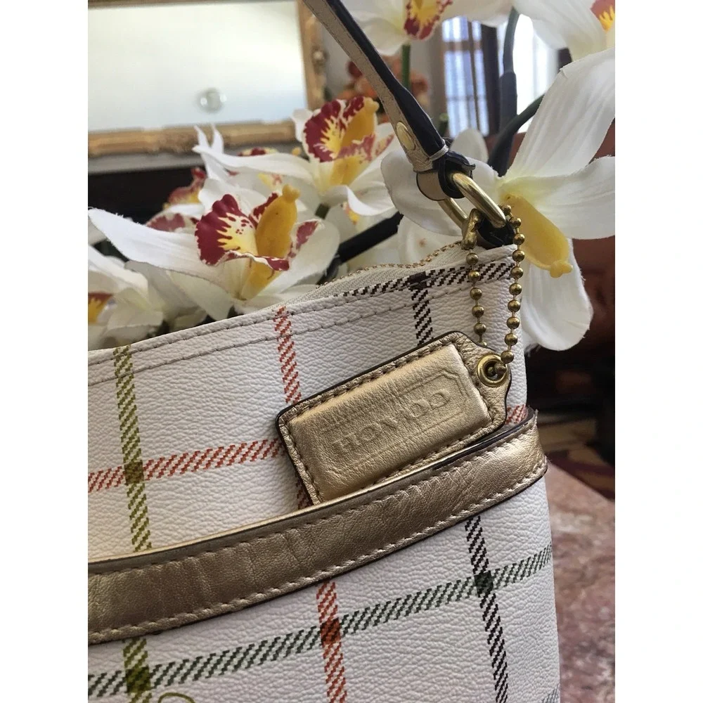 Coach this bag